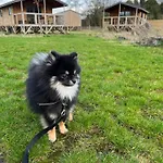 Ecau - Insolite à 30km De Pairi Daiza Alojamento de Turismo Selvagem *