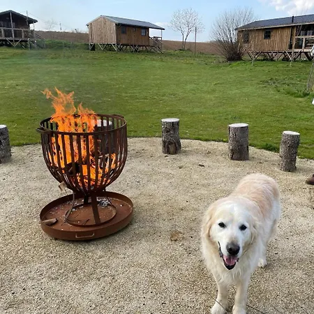 Jaktstuga Ecau - Insolite A 30km De Pairi Daiza Écaussinnes-dʼEnghien