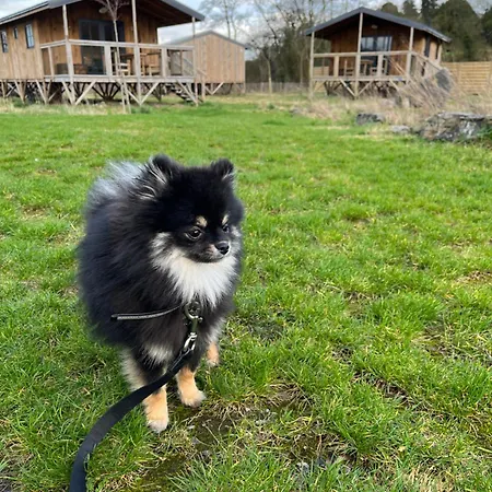 Ecau - Insolite A 30km De Pairi Daiza Jaktstuga *