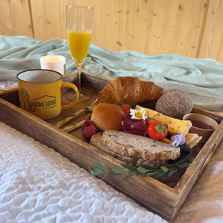 Ecau - Insolite A 30km De Pairi Daiza Jaktstuga Écaussinnes-dʼEnghien