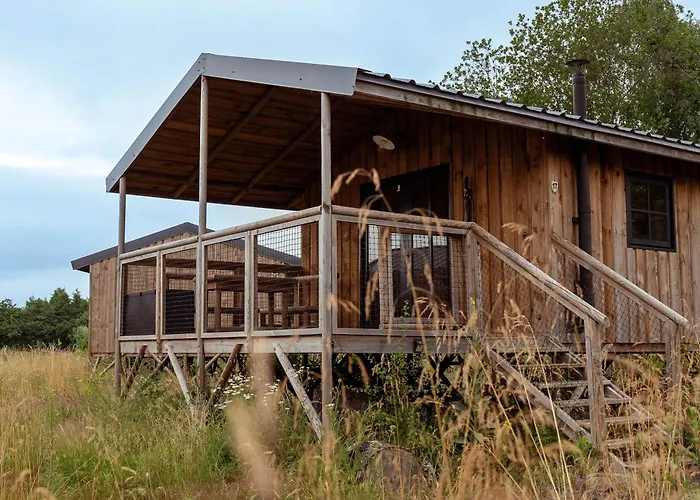 Lodge Ecau - Insolite à 30km De Pairi Daiza Écaussinnes-dʼEnghien