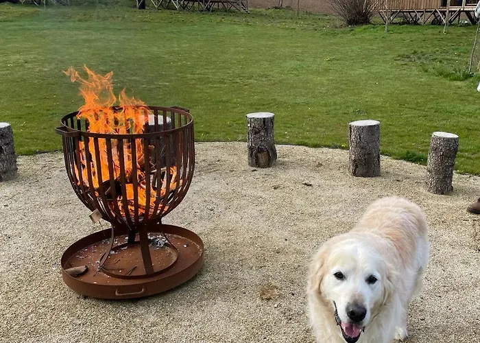 Lodge Ecau - Insolite à 30km De Pairi Daiza Écaussinnes-dʼEnghien